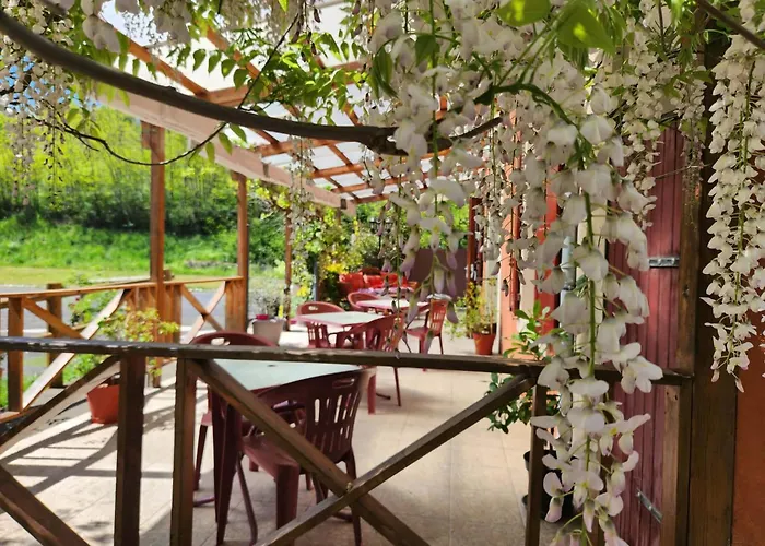 Hôtel restaurant de l'Île